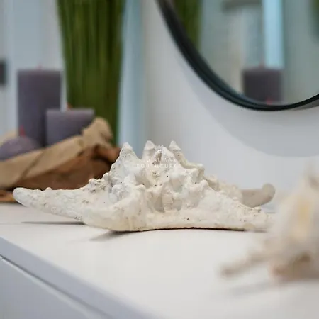 Terracos Do Mar - By Dalma Portuguesa Cavacos